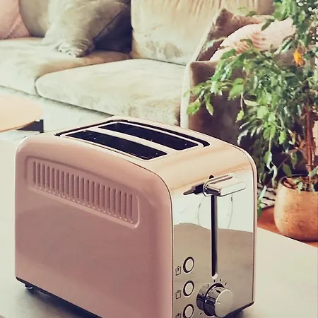 Panoramic Loft In The Citycenter マリボル